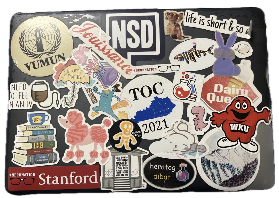 A laptop lid covered in about thirty stickers